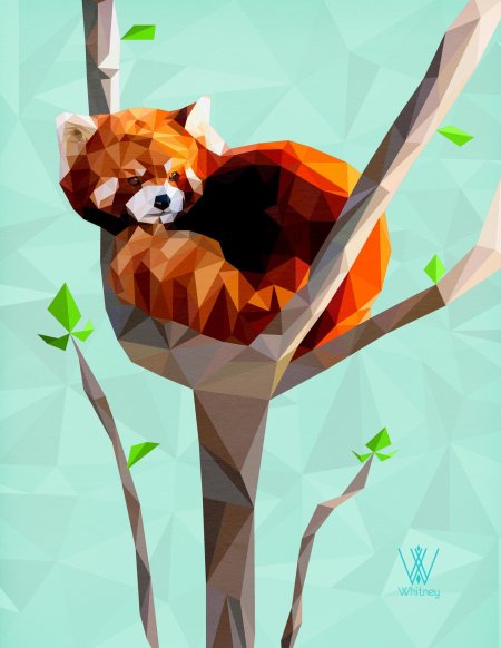 Малая панда арт