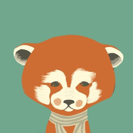 Красная панда рисунок для срисовки