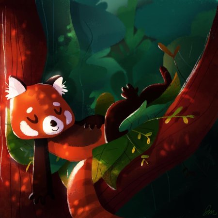 Красная панд