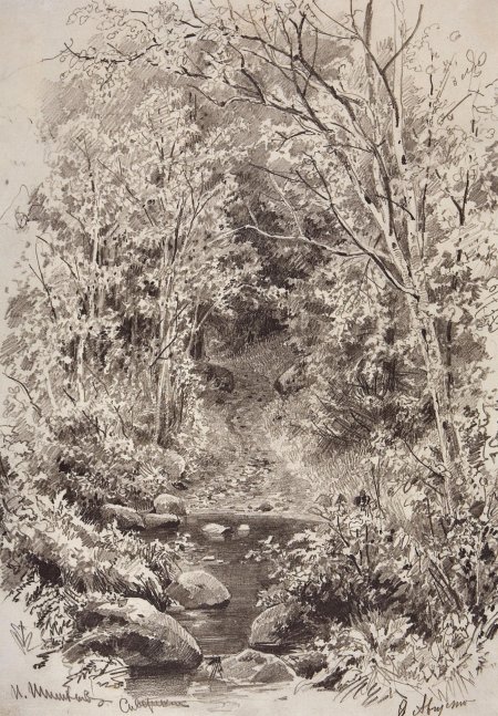 Шишкин иван иванович зарисовки