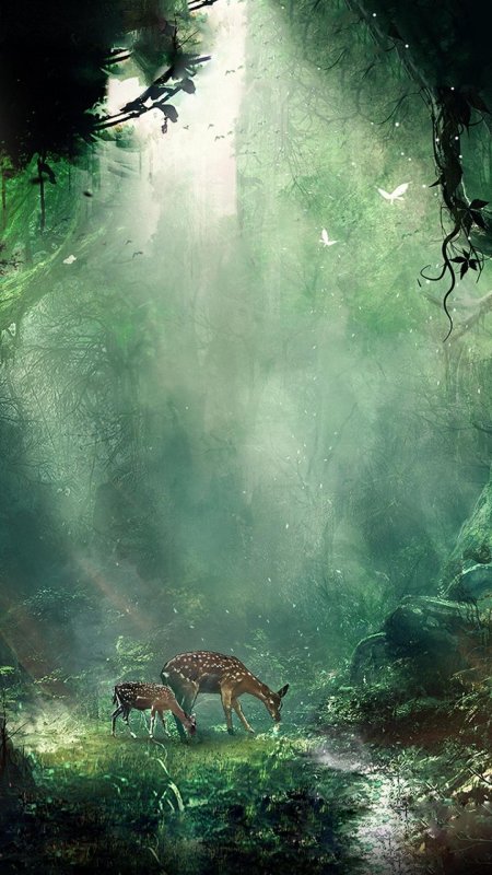 Красивые джунгли