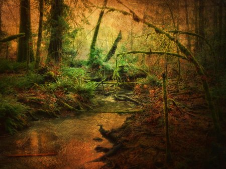 Завораживающие пейзажи леса