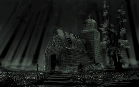 The cursed forest 2019