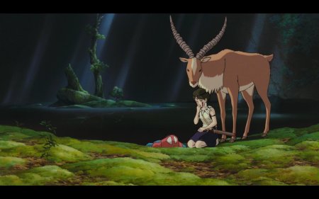 Принцесса мононоке якул