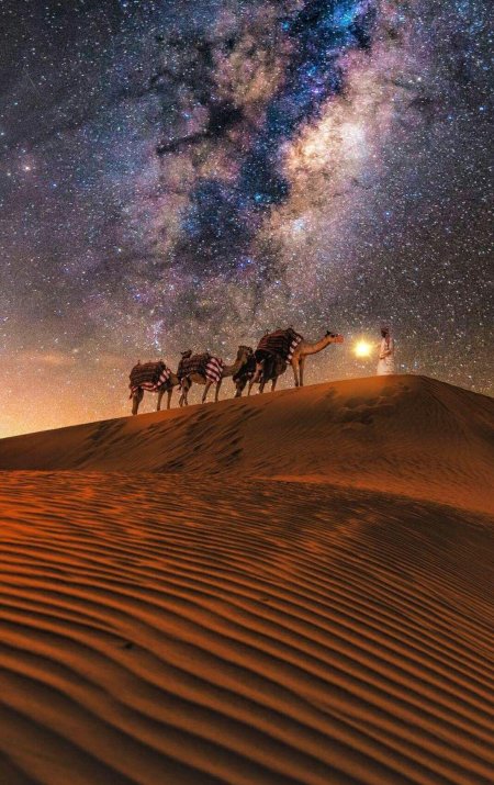 Ночь в пустыне