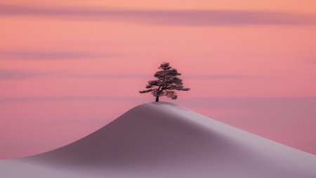Зимние пейзаж