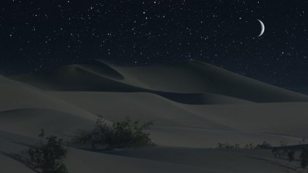 Пустыня сахара ночью