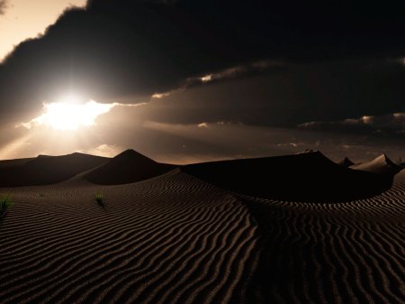 Пустыня барханы оазис