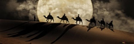 Пустыня караван