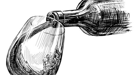 Бутылка вина рисунок