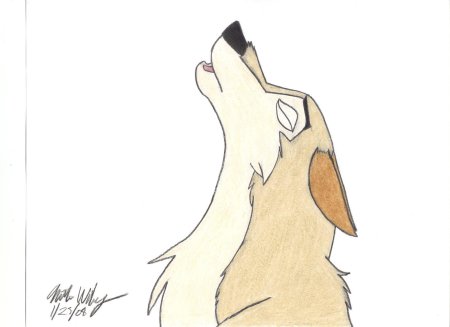 Балто арт карандашом