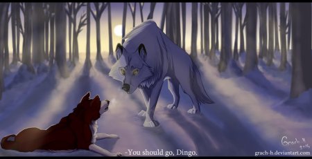 Чёрный волк и белая волчица аниме