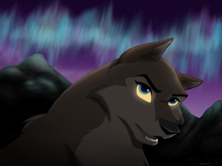 Балто северное сияние