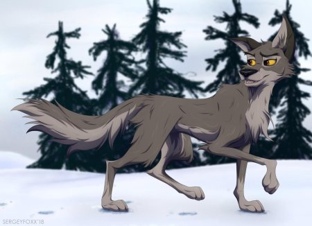 Балто серый волк