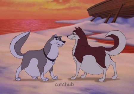 Коди из балто