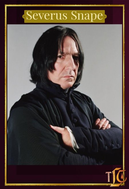 Гарри поттер северус