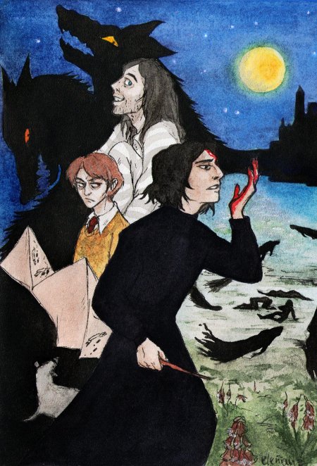 Гарри поттер вальбурга блэк