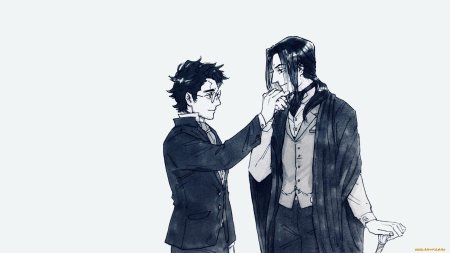 Мародёры гарри поттер сириус блэк