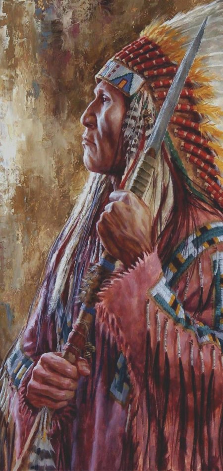 Индейцы северной америки могикане