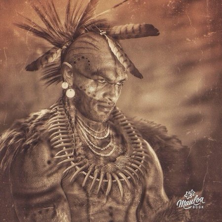 Черный ястреб индейский вождь