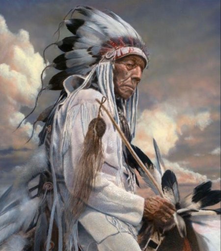 Апачи индейцы америки