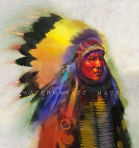 Индейцы северной америки апачи