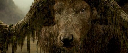 Конг остров черепа буйвол