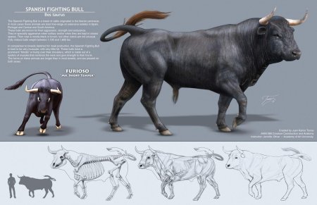 Тур дикий бык вымерший