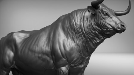 Торо браво бык