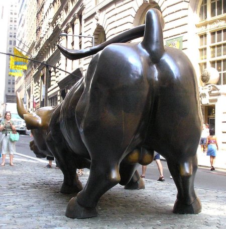 Бык в нью-йорке вид сзади