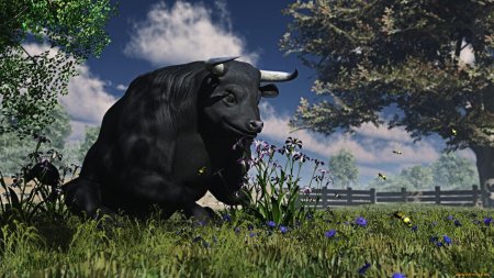 Красивый бык