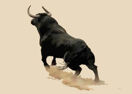 Черный бык иберийский боевой