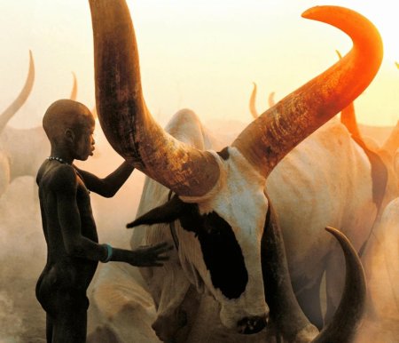 Южный судан племя динка