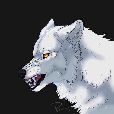 Волчий дождь киба оскал