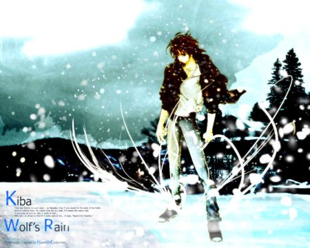 Волчий дождь киба