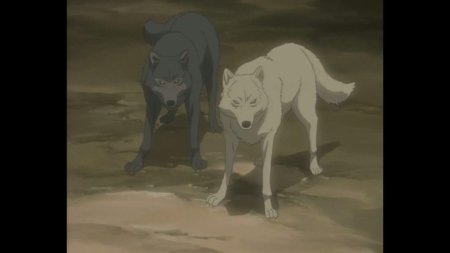 Волчий дождь аниме киба