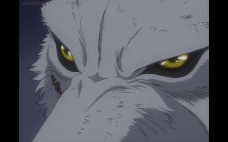 Волчий дождь дарсия волк