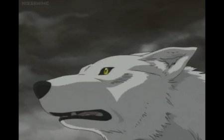 Аниме волчий дождь киба волк