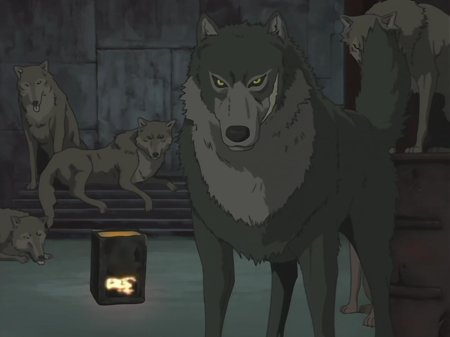 Волчий дождь аниме дарсия