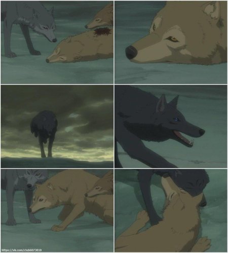 Аниме волчий дождь блю и хиге