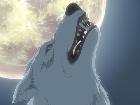 Волчий дождь киба