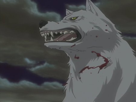 Волчий дождь киба волк