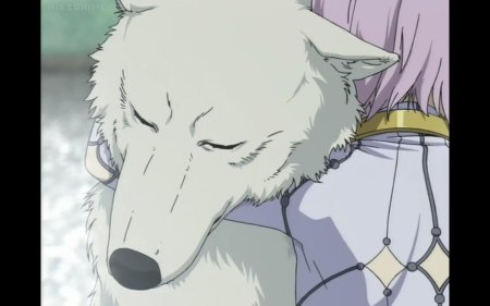 Волчий дождь киба волк