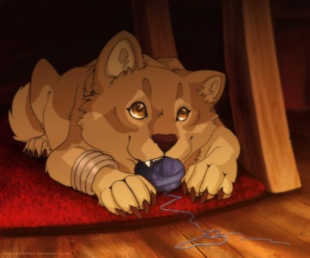 Тобое волчий дождь