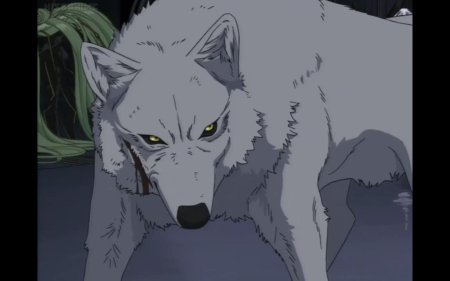 Аниме волчий дождь киба волк