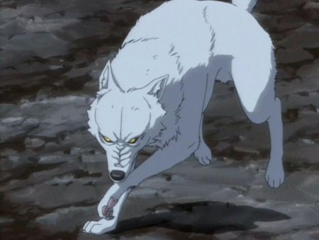 Аниме волчий дождь киба волк