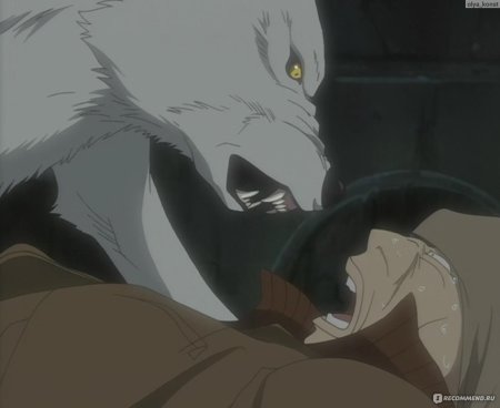 Киба волчий дождь