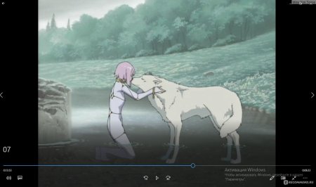 Аниме волчий дождь киба и чеза