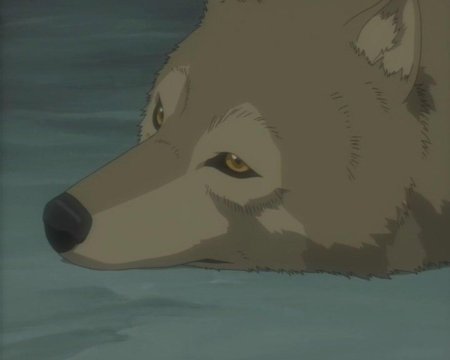 Волчий дождь хиге