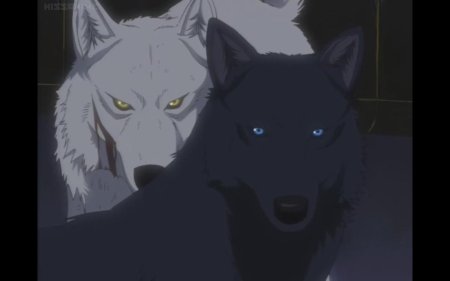 Аниме волчий дождь черный волк